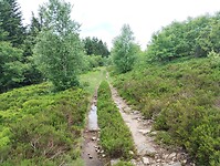 IMG_20250615_140133834