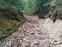 IMG_20250615_135701420