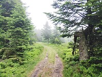 IMG_20250615_132052624