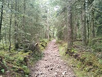 IMG_20250615_130518075