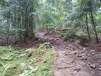 IMG_20250615_123730557