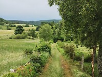 IMG_20250615_112740227