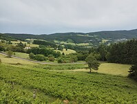 IMG_20250615_111332749