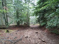 IMG_20250615_101638489