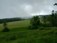 IMG_20250615_094146778_HDR