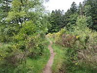 IMG_20250615_093822209