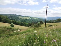 IMG_20250616_151651333
