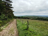 IMG_20250616_143215450