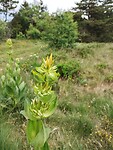 IMG_20250616_142945136