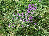 IMG_20250616_142323897
