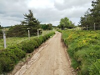 IMG_20250616_142144746