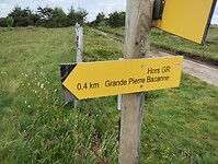 IMG_20250616_141720794