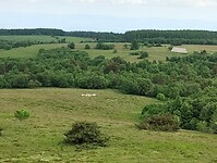 IMG_20250616_140127746