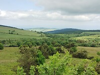 IMG_20250616_135952329