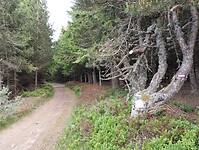 IMG_20250616_134022159