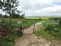 IMG_20250616_134006993