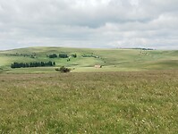 IMG_20250616_123947823