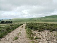 IMG_20250616_121418258