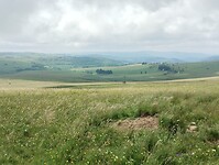 IMG_20250616_114037853