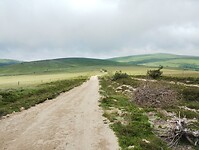 IMG_20250616_112209448