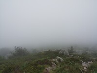 IMG_20250616_085814969