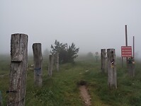 IMG_20250616_083158202