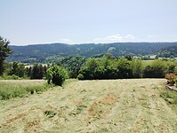 IMG_20250617_154356638