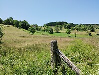 IMG_20250617_144122330