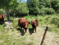 IMG_20250617_144024468