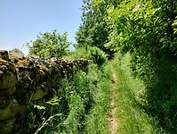 IMG_20250617_120847405_HDR
