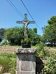 IMG_20250617_120457392
