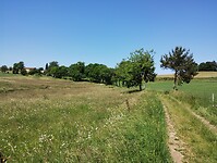 IMG_20250617_115852466