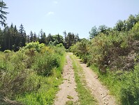 IMG_20250617_115100045