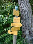 IMG_20250617_114109035_HDR