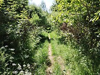 IMG_20250617_113725226_HDR