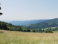 IMG_20250617_112632855