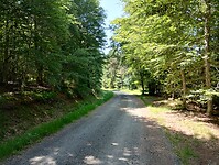 IMG_20250617_111852345_HDR