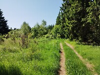 IMG_20250617_105251413