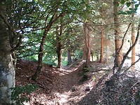 IMG_20250617_095554879