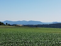 IMG_20250618_162714260