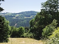 IMG_20250618_161602849