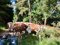 IMG_20250618_095656415_HDR