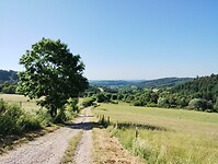 IMG_20250618_094314744