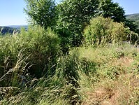 IMG_20250618_094021912_HDR