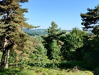 IMG_20250618_090511790_HDR