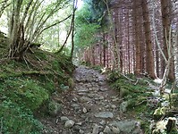 IMG_20250618_154142395