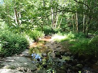 IMG_20250618_154040868