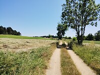 IMG_20250618_150636171
