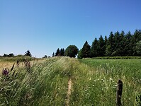IMG_20250618_122520991