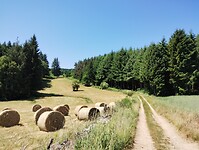 IMG_20250618_120759019